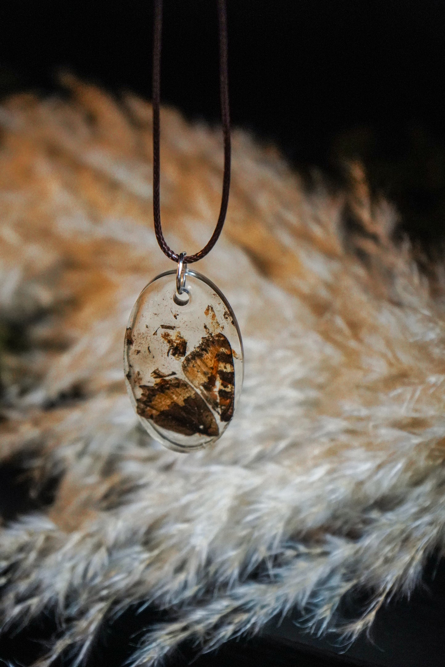 COLLIER "Epopée" en Aile de Papillon Véritable ✧