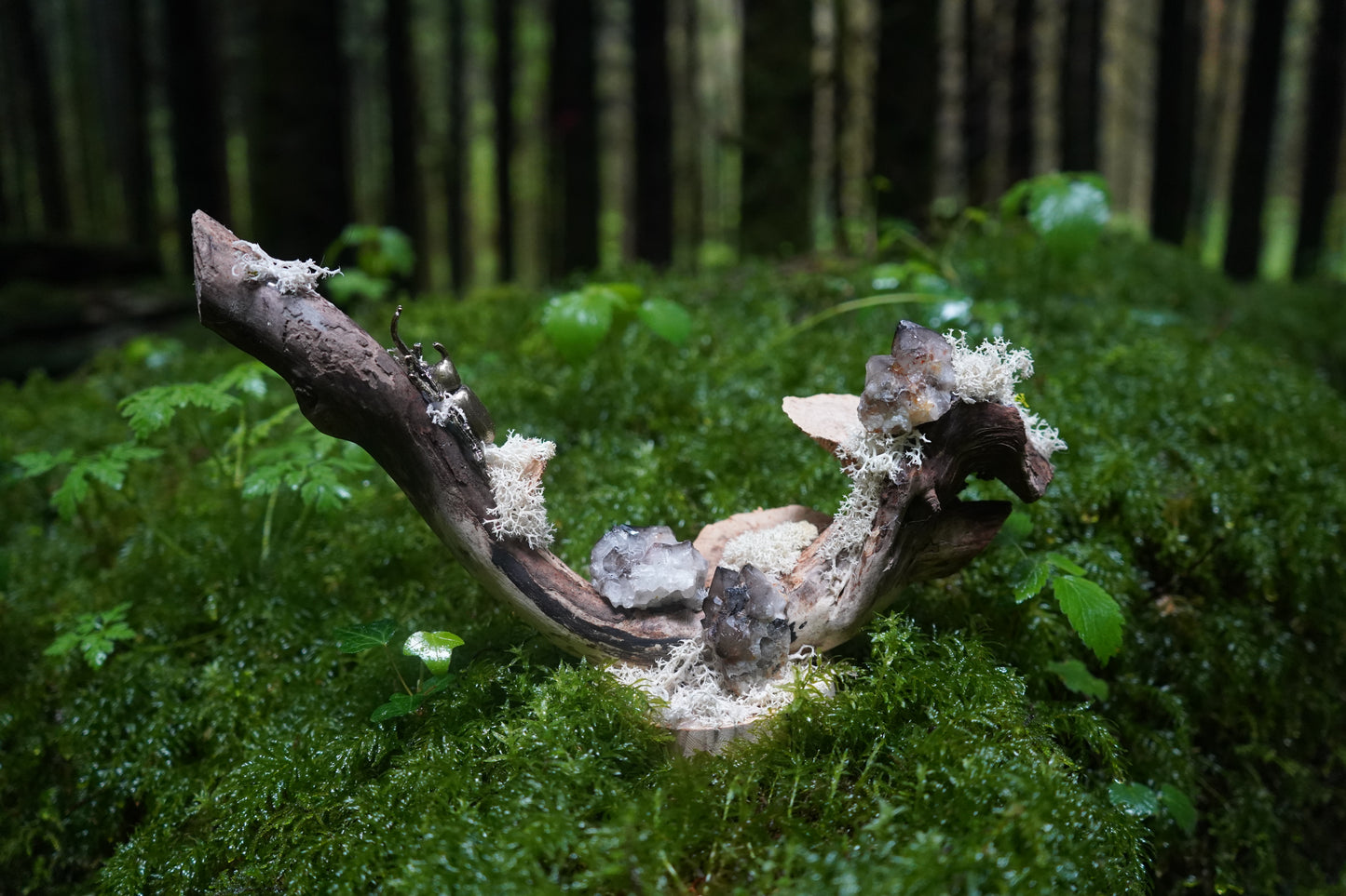 Sculture "Mycelius"
