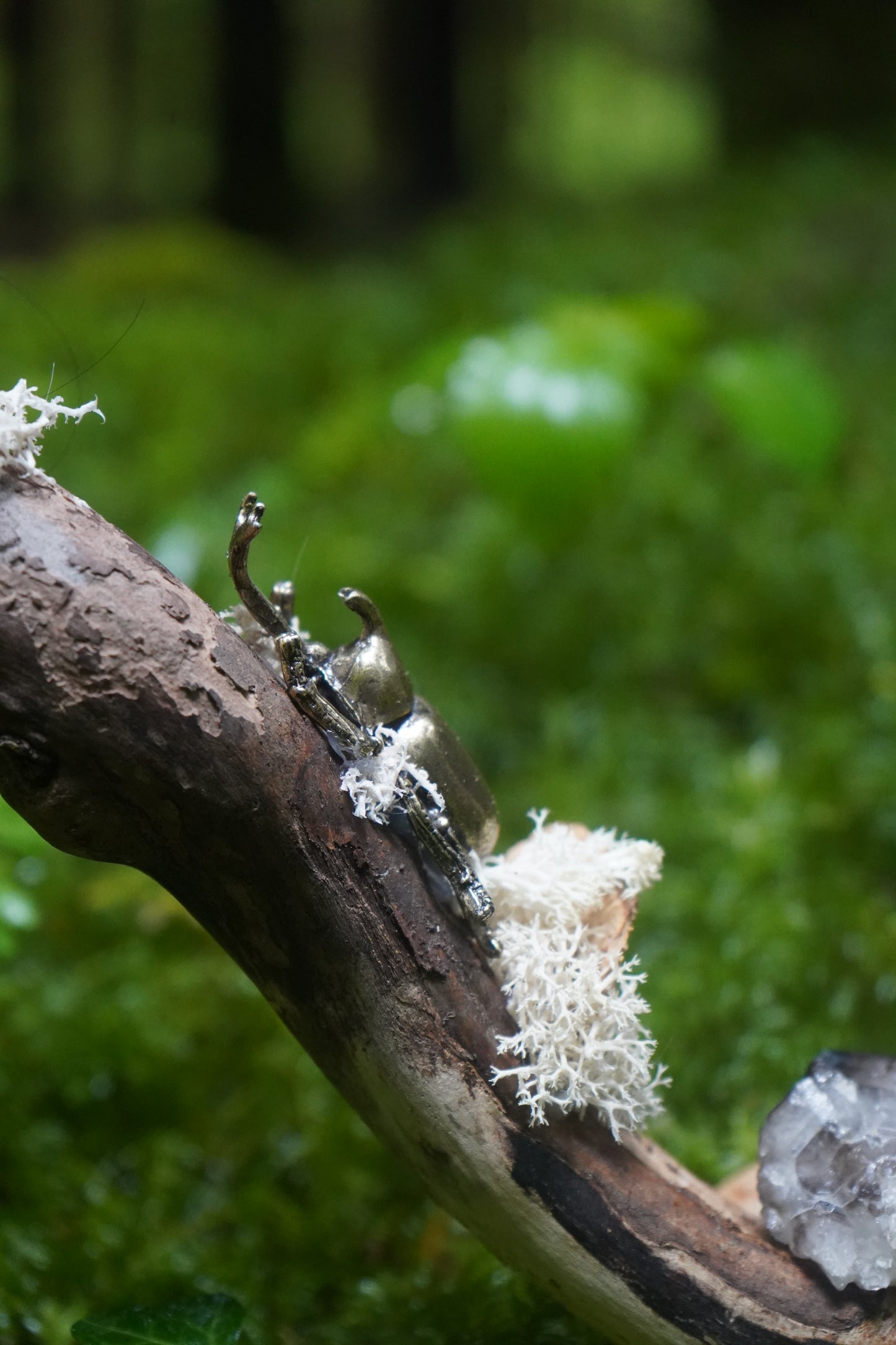 Sculture "Mycelius"