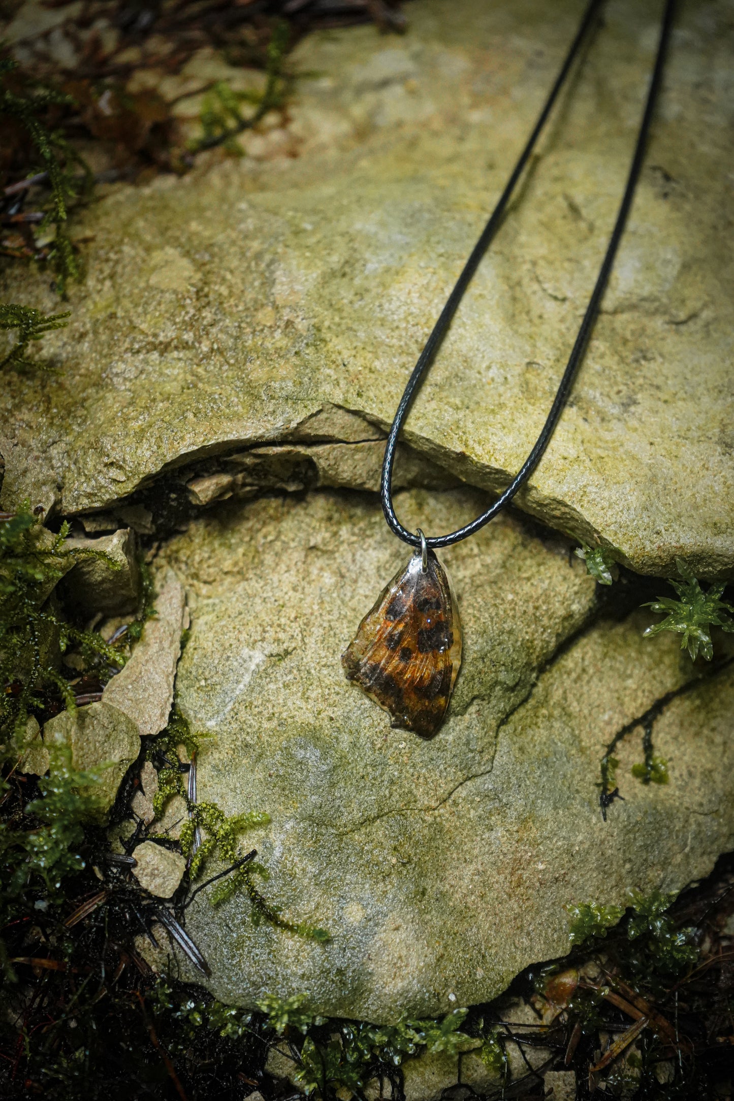 COLLIER "CRYSALYS" en Aile de Papillon Véritable ✧
