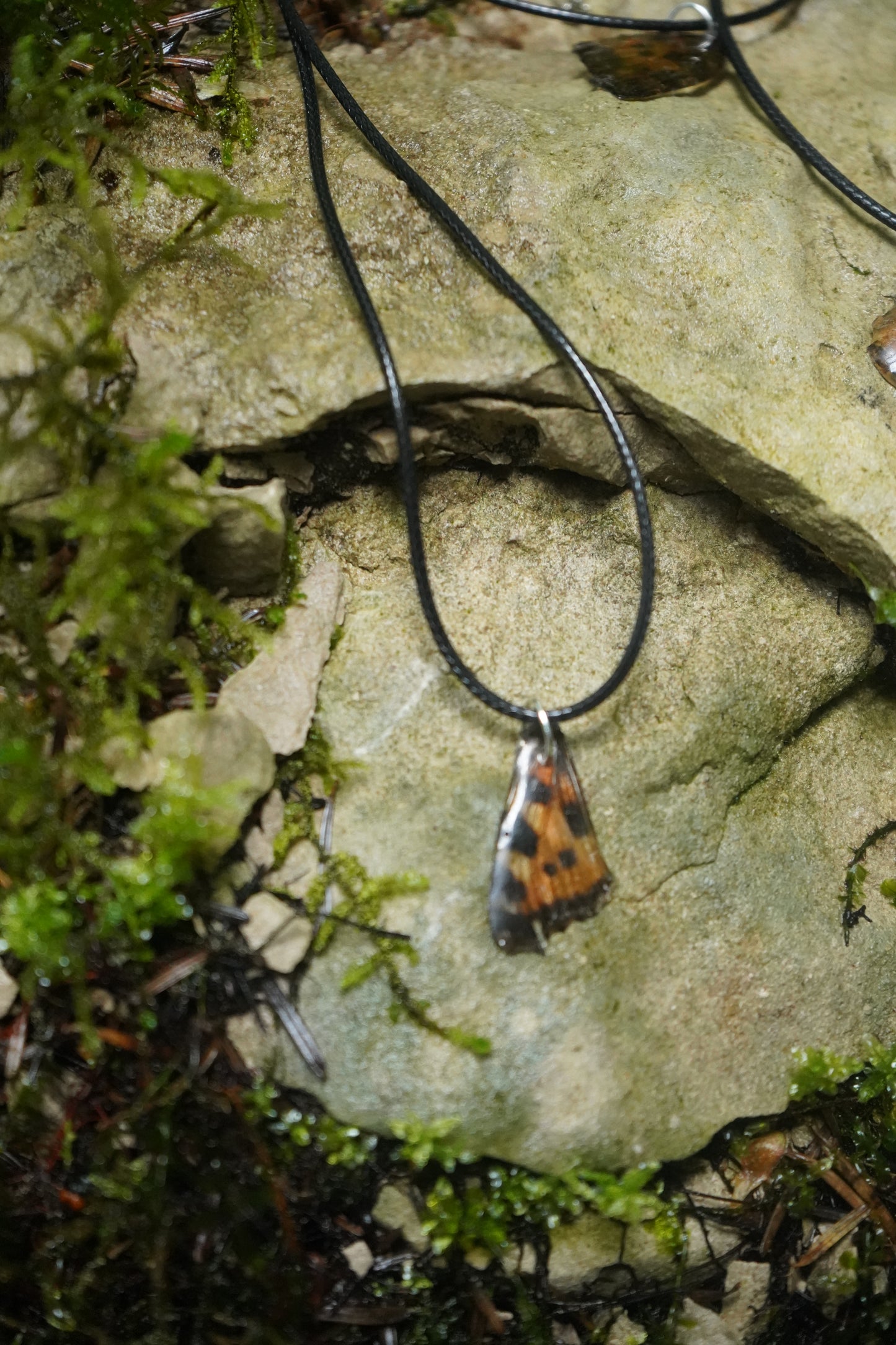 COLLIER "CRYSALYS" en Aile de Papillon Véritable ✧