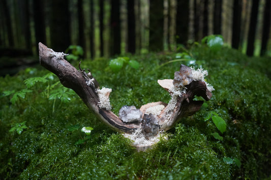 Sculture "Mycelius"