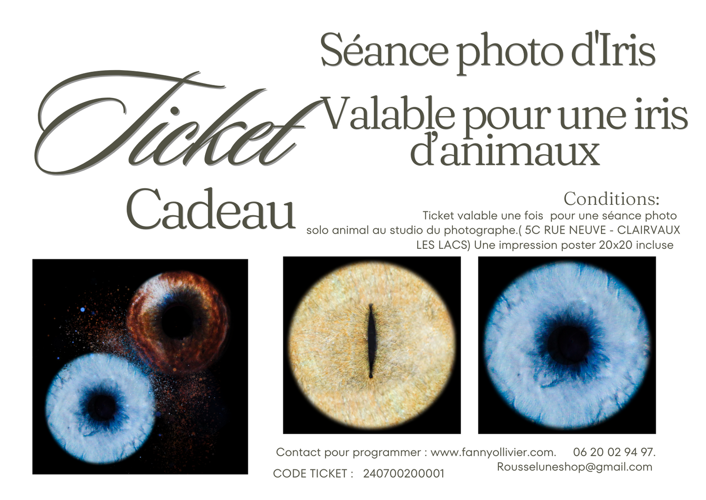 Ticket Cadeau - Séance Iris  - Un iris animal au studio photo
