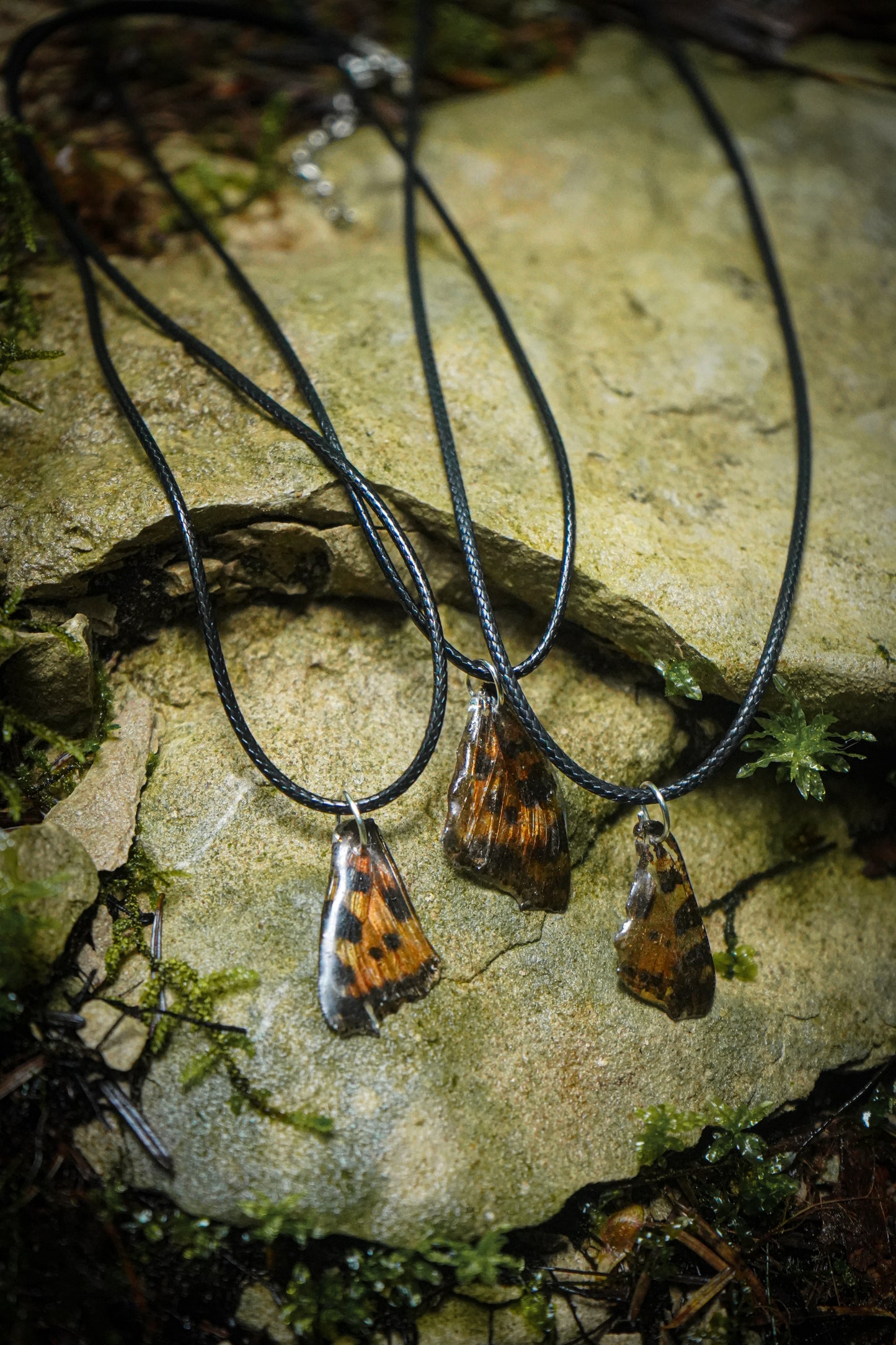 COLLIER  "CRYSALYS" en Aile de Papillon Véritable ✧
